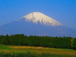 fuji